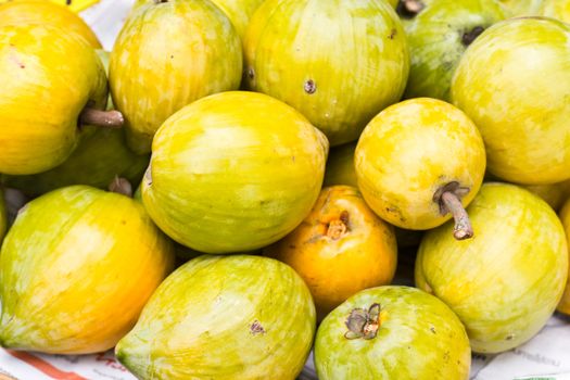 Ripe fruits of Prunus persica(Prunus mume or Chainese apricot)