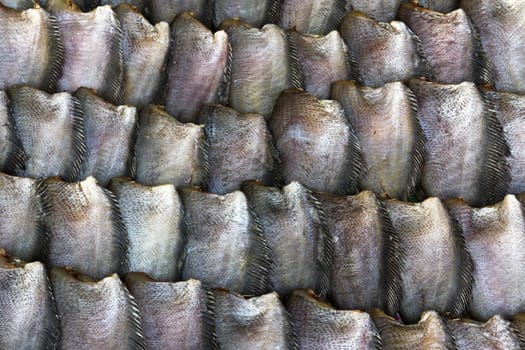 Salid Fish for sale in market ,Thailand.