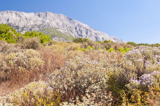 Landscape on Samos