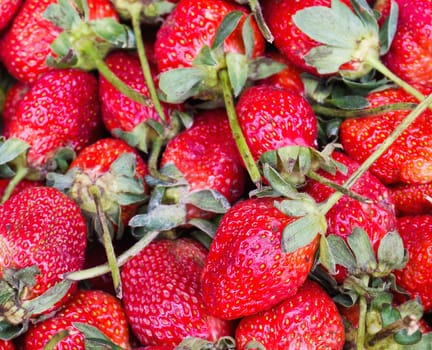 Ripe Red Strawberries in Market