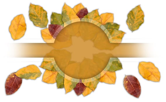 Autumn leaves forming colorful frame with copy space to write your message