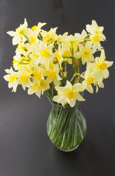 A vase of yellow daffodils over black background