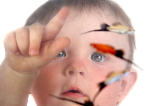 the little blue-eyed girl plays with small fishes in an aquarium. option 8