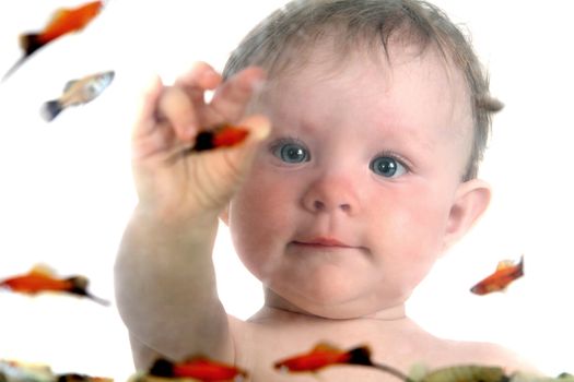 the little blue-eyed girl plays with small fishes in an aquarium. option 9