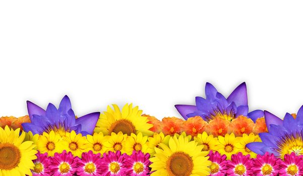 Flower border or flower frame with beautiful blooms arranged in rows and copy space for text.