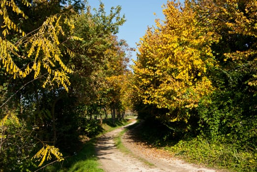 rural landscape of the Veneto in Italy