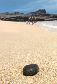 Four young people having fun at beach on a clear bright day.