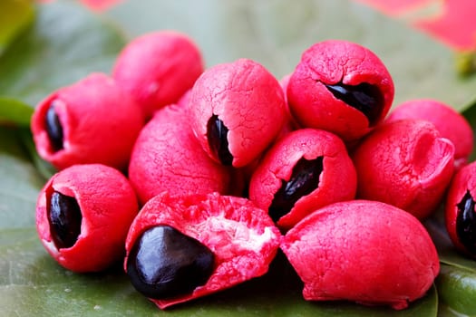 Fleshy and pulpy Mexican origin fruit known as Camachile or Guamachil. Also known as Manila Tamarind in Philippines.