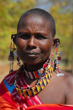 Masai Mara, Kenya July 13, 2009: a Masai woman in the bush wearing the typical jewelry forgings of small colored beads.