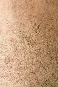 Human skin with strands of hair close up showing ridges and patterns of skin on leg 