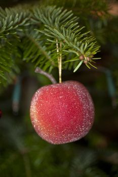 close up of christmas decoration