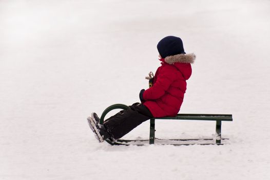 sledding in a snow covered landscape