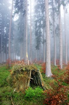 lonely hut in the forest with fog