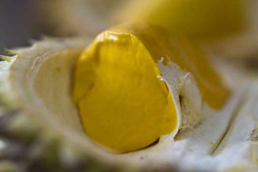 Closeup view of durian with natural lighting