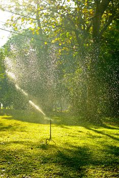 Irrigation in the garden