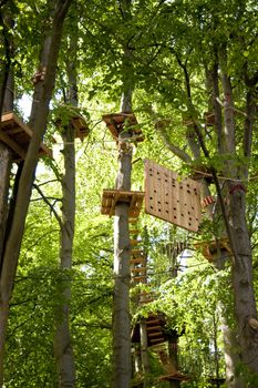 high wire climbing in the wood