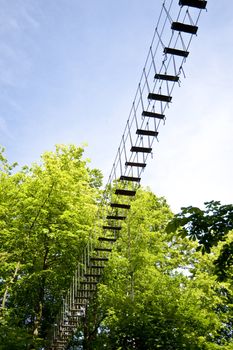 high wire climbing in the wood