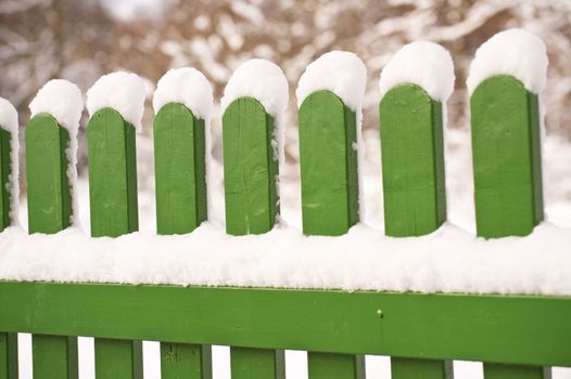 Snow covered fence