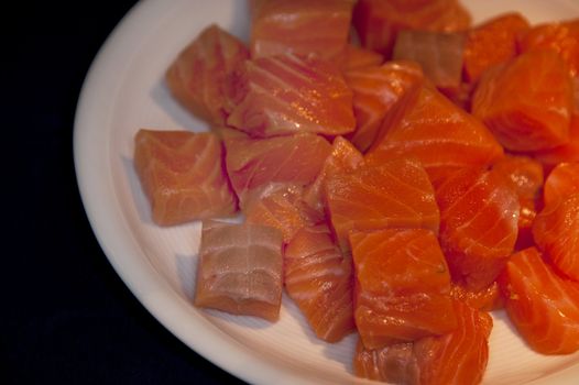 close up of salmon