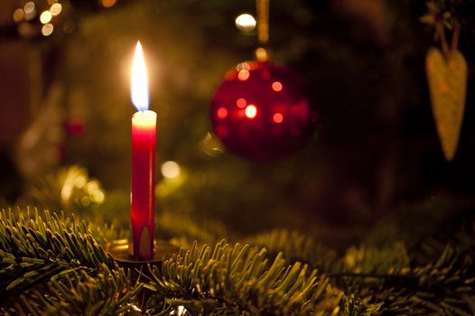 close up of a candle on a christmas tree