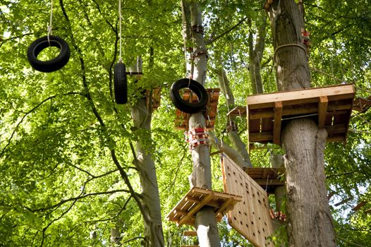 high wire climbing in the wood