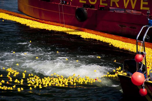 entenrennen / duck race / lions club / kiel / germany