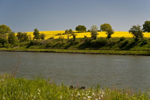 rape field in may
