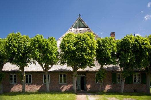 scenes of a farm