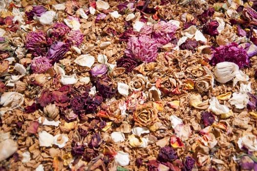 dried flowers