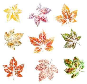 Blackberry leaves, abstract oil painting, isolated on white background