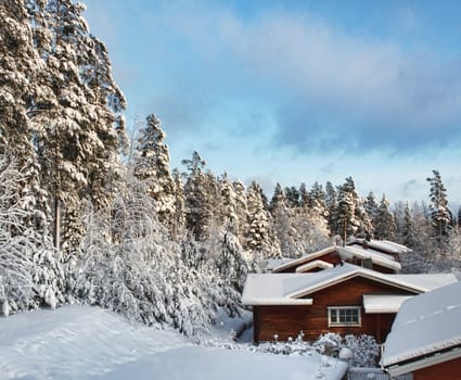 Log cabin houses in snowy winter forest scenery
