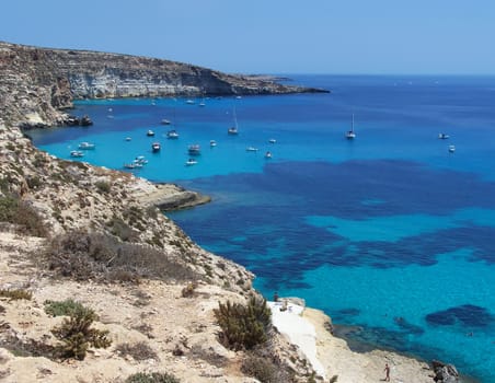 This is the magnificent island of rabbits, in Lampedusa. The water is crystal clear and the sand is white. The rocks are silhouetted against the blue sea and the sky is clear. The depths of this island are a paradise for divers because they are full of colorful fish. 