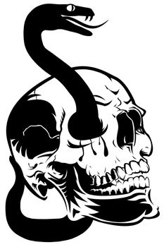 Skull with Venomous Snake Through Eyes Illustration Isolated on White Background