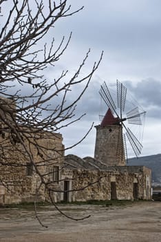 Windmill, with a tree in the foreground