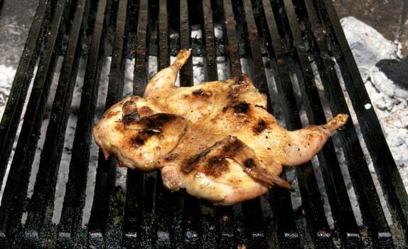 preparation of quail on the grill in the restaurant