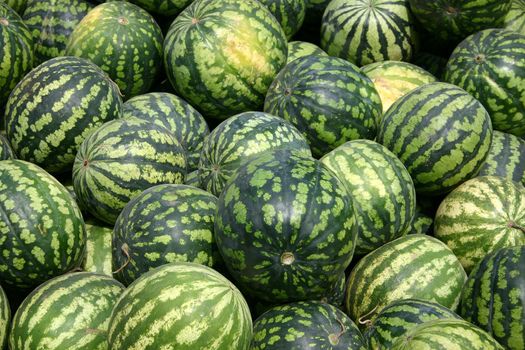 The big heap from water-melons