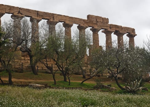 Greek temple of Agrigento with trees. Sicily- Italy
