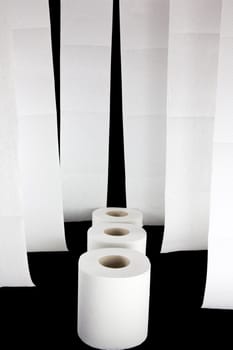 Picture of three rolls of toilet paper with a bunch hanging