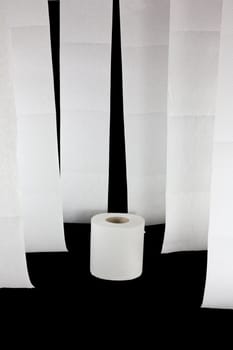 Picture of some toilet paper hanging and a roll of toilet paper