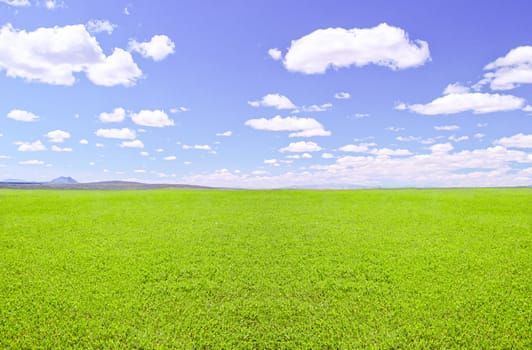 Green field with blue sky and clouds