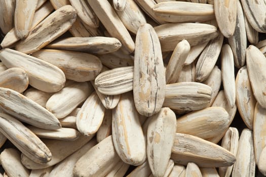 Large sunflower seeds close-up. Side lighting, macro