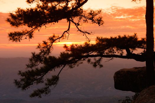 Sunrise View point at Phukradung National Park, Loei, Thailand