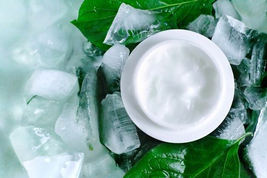 A jar of a cosmetic cream with fresh green leaves and pieces of ice. Beauty concept..