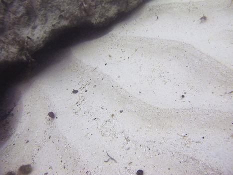 close up view of a sandy bottom underwater
