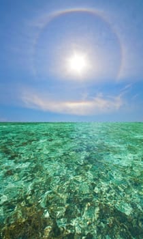 Coral Scape at PhiPhi Island with Perfect Sky