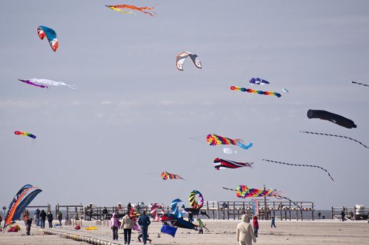 kite festival in st. peter-ording / germany