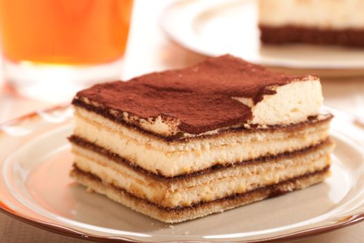 Portion of self-made tiramisu dessert served on a plate