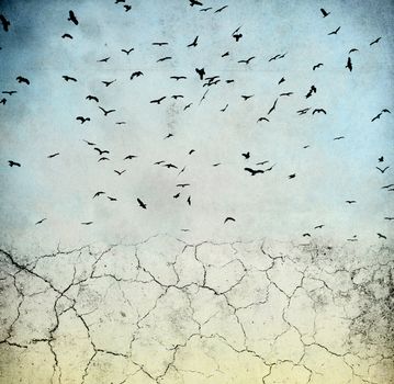 ground cracked, birds in the sky