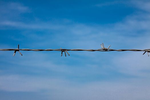 barbed wire