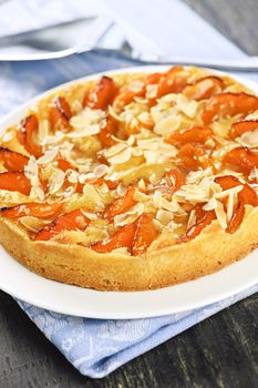 Fresh baked apricot and almond pie dessert
